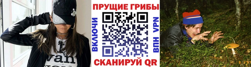Галлюциногенные грибы Psilocybine cubensis  Малмыж 